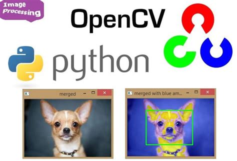 Image result for OpenCV Python Illustration