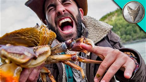 Image result for Coconut Crab Attacks Human