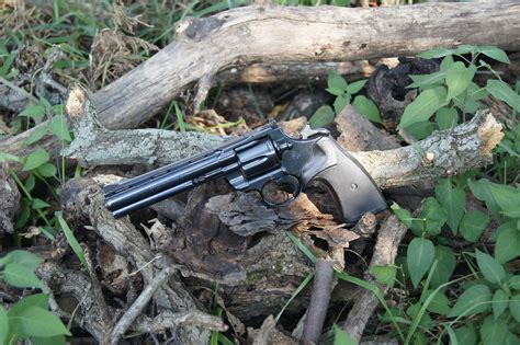 Image result for Colt Python Leaf Spring