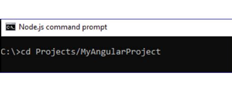 Toradh íomhá ar Angular Install NPM