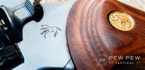 Toradh íomhá ar All-Black Colt Python