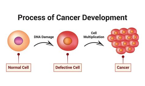 Afbeeldingsresultaten voor Normal Cell Icon