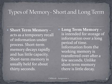 Image result for Short-Term Memory Working Memory Long-Term Memory