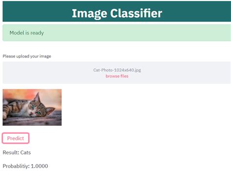 Image result for Animal Classification Using Artificial Intelligence