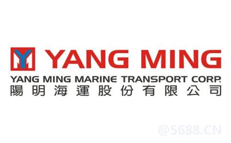 Image result for YML Group Company