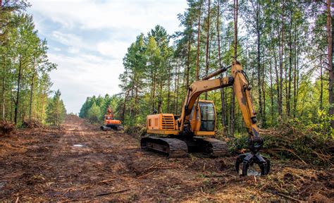 Image result for Site Clearing Work