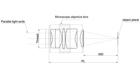 Image result for Objective Lenses Drawing Microscope