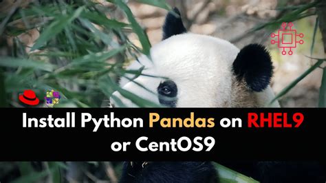 python pandas కోసం చిత్ర ఫలితం