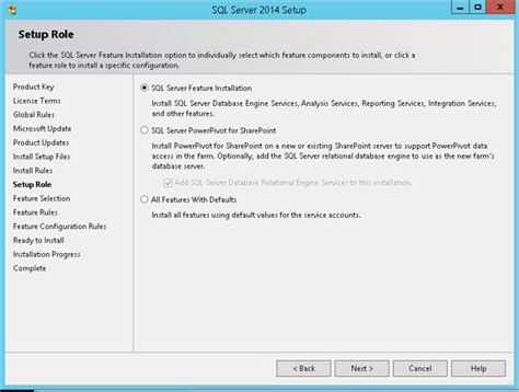 Image result for Running SQL Server Software Options