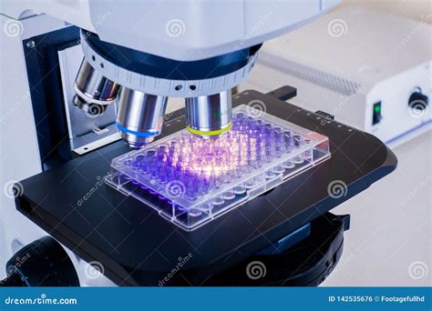 Microscope Plate に対する画像結果