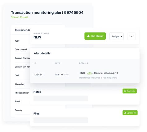 Image result for Transaction Monitoring Case Comments Examples