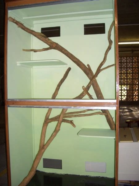 Image result for How to Build a Snake Cage Plans