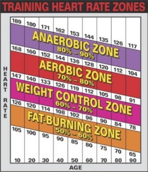 Moderate Exercise Intensity Chart に対する画像結果