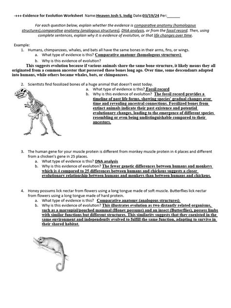 Image result for Evolution Worksheet with Answer Key