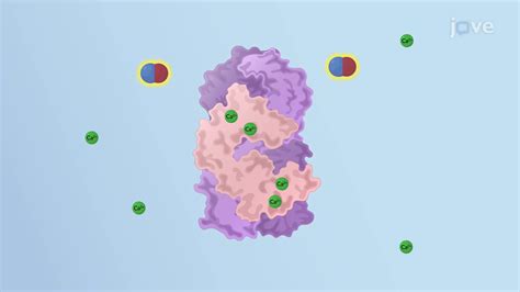 Image result for Nitric Oxide Science