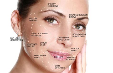 Image result for Face Dermal
