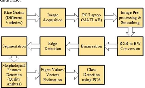 Image result for Rice Grain Image Analysis MATLAB