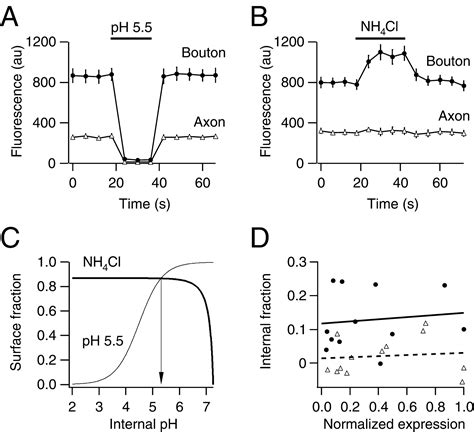 Image result for Systaxin Java