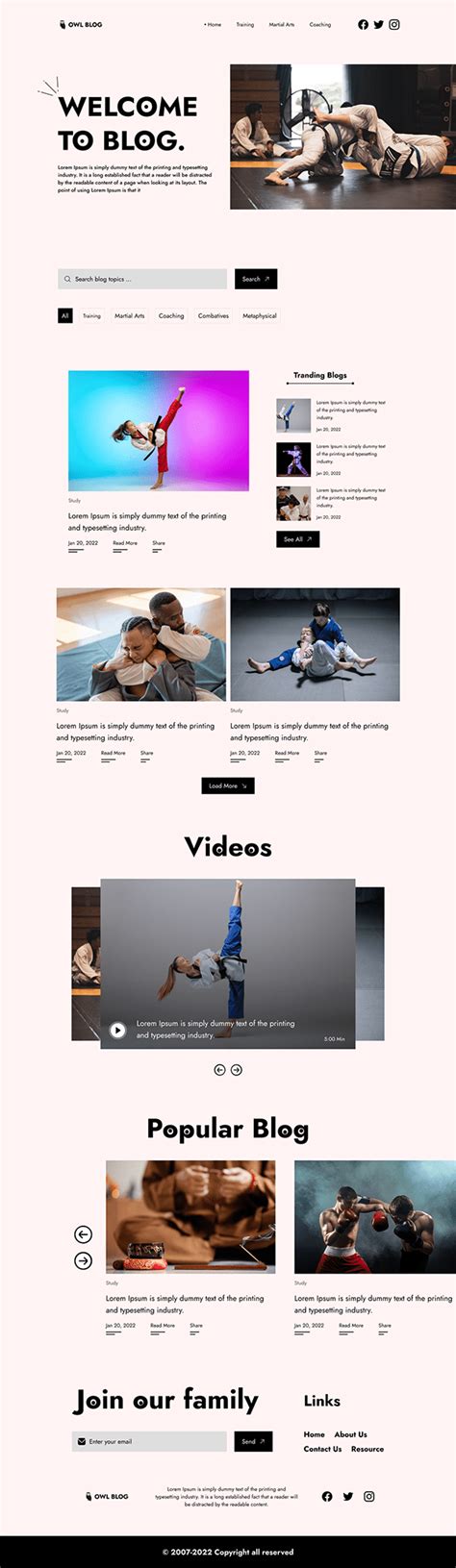 Blog Website Development に対する画像結果