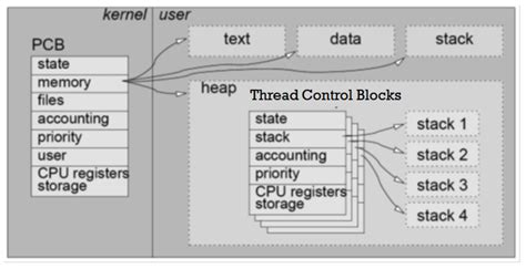 Afbeeldingsresultaten voor Life Cycle in Thread in Process Control Block