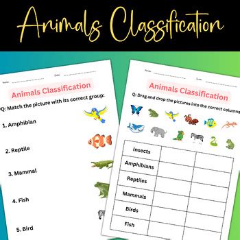 Image result for Classifying Animals Worksheet Key Stage 2