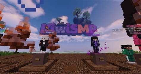 Image result for SMP Servers Java