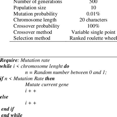 Genetic Algorithm Psuedo Code に対する画像結果