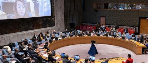 UNODC Executive Director に対する画像結果