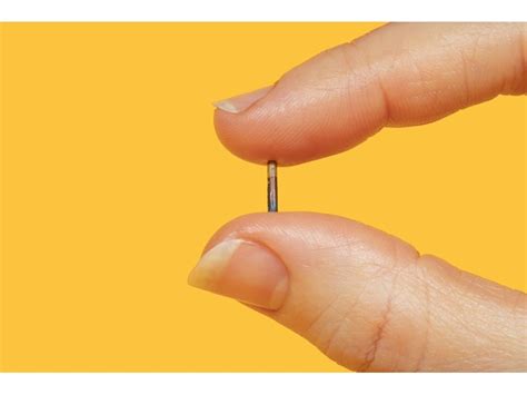 Image result for Mini Microchip