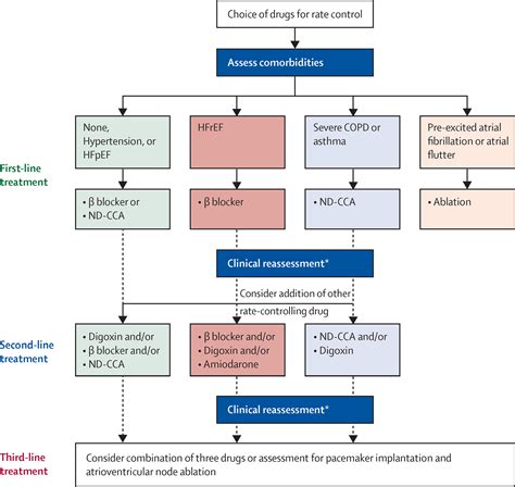 Atrial Fibrillation Rate Control に対する画像結果