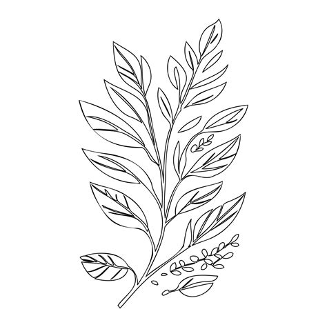 Image result for Parallel Leaf Coloring