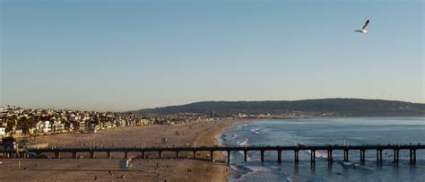 Image result for Java Man Manhattan Beach