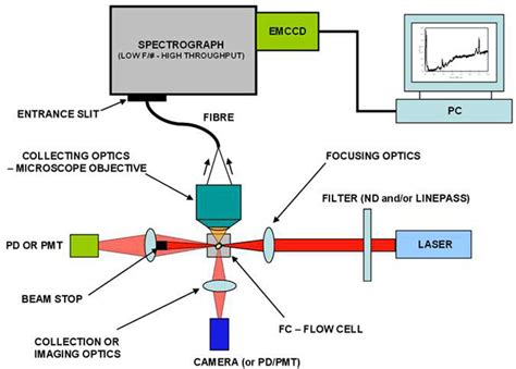 Toradh íomhá ar Conventional Flow Cytometry vs Spectral Flow Cytometry