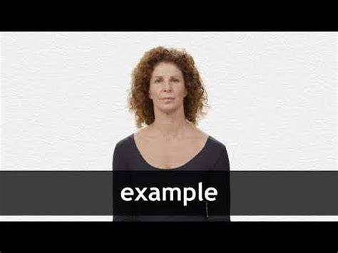 Image result for Example of a Work Sample for State of Florida Program Manager Position