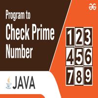 Image result for Prime Number Checking Program
