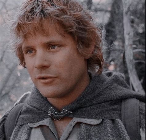Image result for Samwise Gamgee Smile