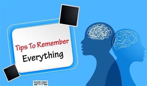 Image result for How to Remember Things Properly Brightside