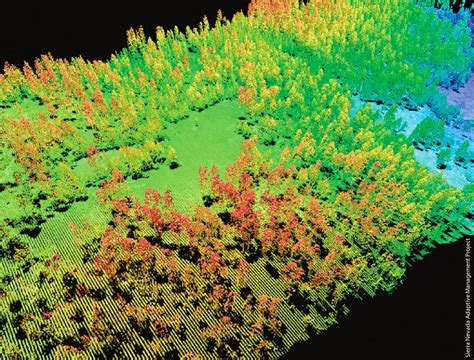 A forest-lidar guru turns to SfM (...plus lidar) | Geo Week News