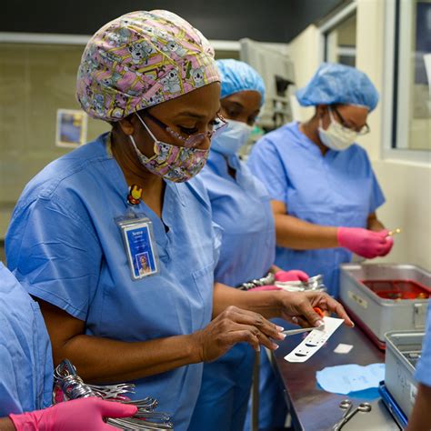 Afbeeldingsresultaten voor Central Processing Unitb