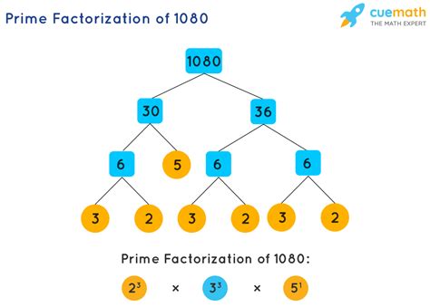 Bildergebnis für Prime Factorization Chart