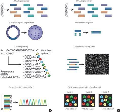 Sequencing Workflow-এর ছবি ফলাফল