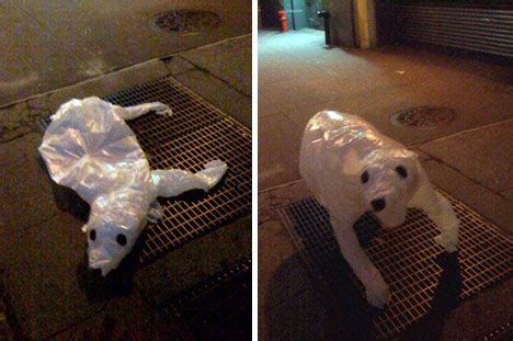 Image result for Garbage Bag Inflation