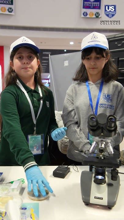 Image result for Microscope Science Fair Projects