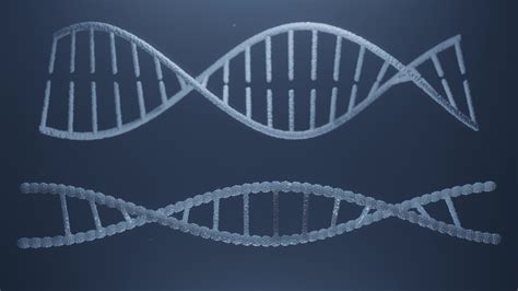 Image result for Colorful Rotating DNA Strand for Your Loading Animation