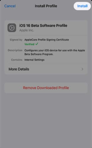 Image result for iOS Beta Software Profile