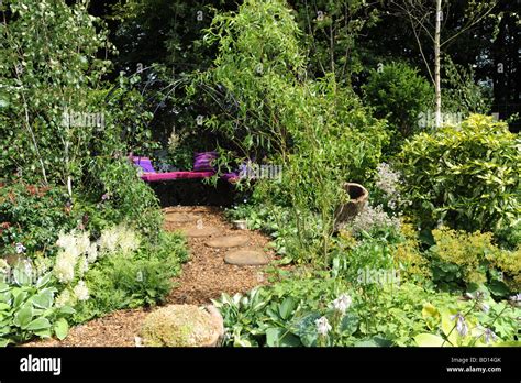 Afbeeldingsresultaten voor Tree Fern Seating Area