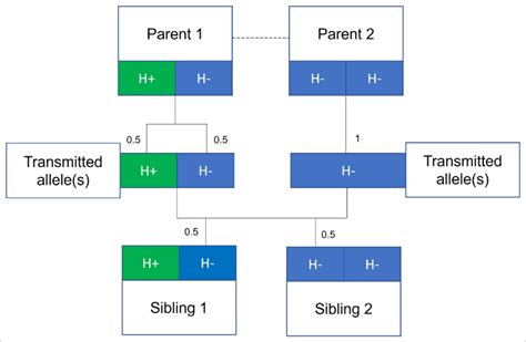 Image result for Randomization and Random Allocation