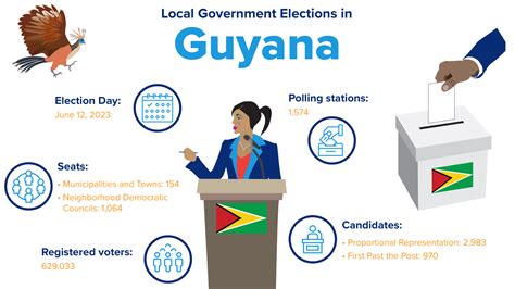 Toradh íomhá ar Complement System Process Poster