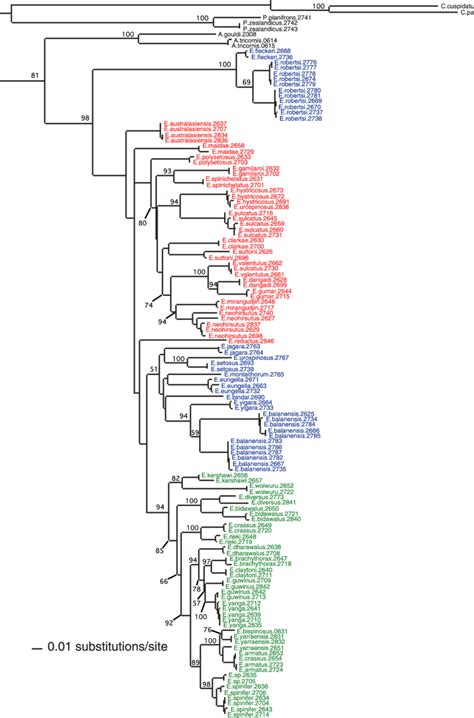 Image result for Maximum Likelihood Evolution