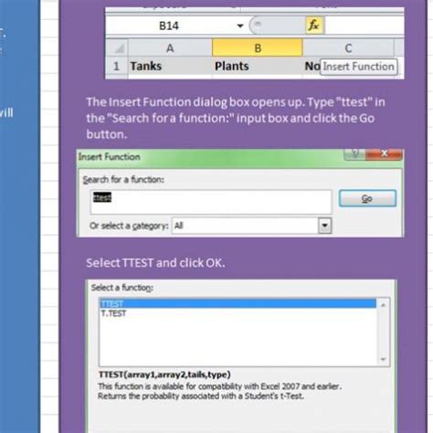 Image result for Lizard Evolution Virtual Lab Groups Answer Key